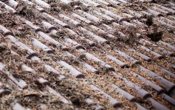 Whatton In The Vale roof cleaning companies